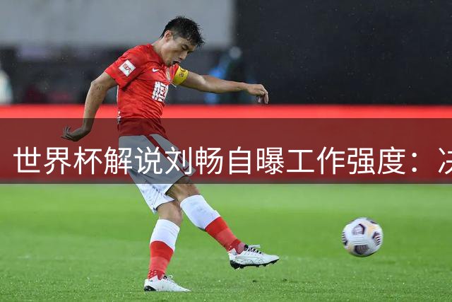 世界杯解说刘畅自曝工作强度：决赛前48小时仅休息3小时