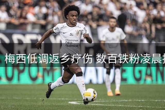 梅西低调返乡疗伤 数百铁粉凌晨接机难觅球王身影