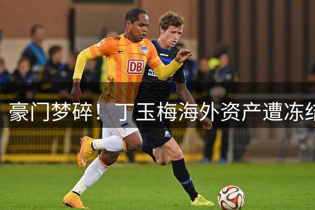 豪门梦碎！丁玉梅海外资产遭冻结 昔日风光今何在